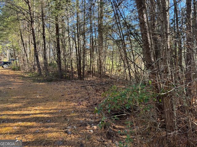 LOT 32 East Ridge Lane, Ellijay, GA 30536