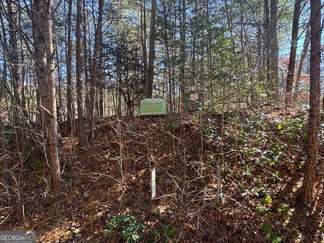 LOT 32 East Ridge Lane, Ellijay, GA 30536