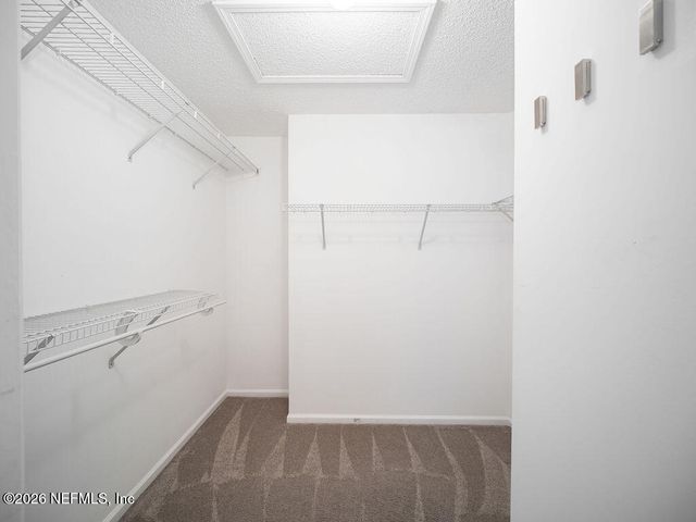 2645 DALMATION Lane E, Jacksonville, FL 32246