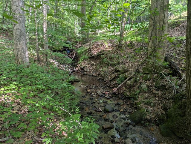 1249 Trackrock Gap Road, Blairsville, GA 30512