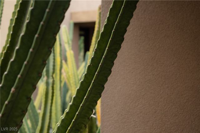 6755 Agave Azul Court, Las Vegas, NV 89120