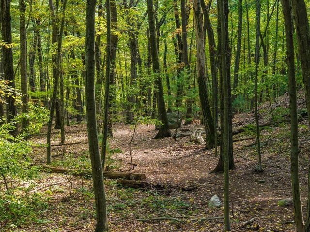 80 Doublet Hill Rd, Weston, MA 02493