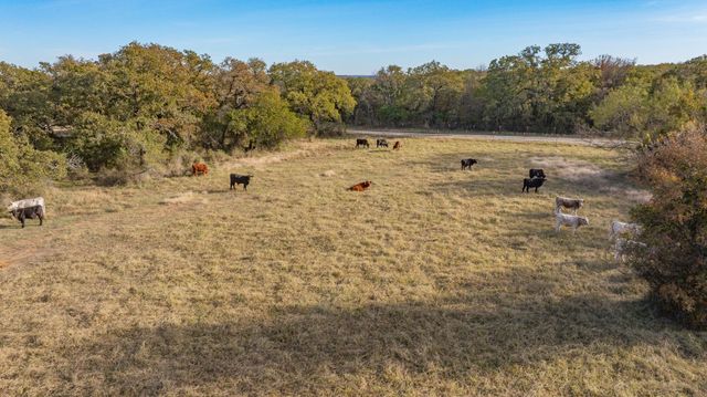 7203 Pump Station Road, Jacksboro, TX 76458
