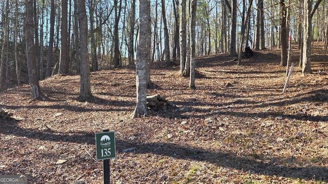 135 Red Oak Trail, East Ellijay, GA 30540