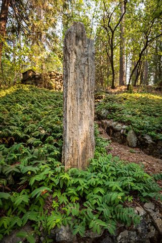 18925 Applegate Rd, Applegate, CA 95703