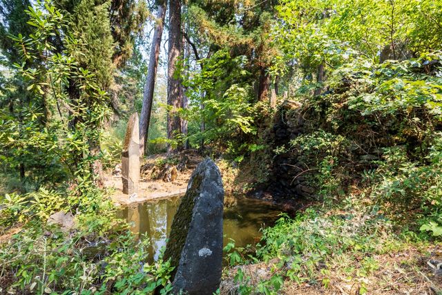 18925 Applegate Rd, Applegate, CA 95703