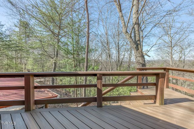 461 Little Switzerland Pvt Drive, Bristol, TN 37620