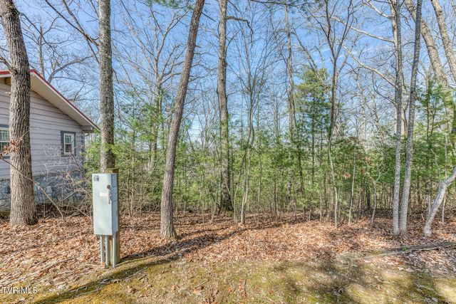 461 Little Switzerland Pvt Drive, Bristol, TN 37620