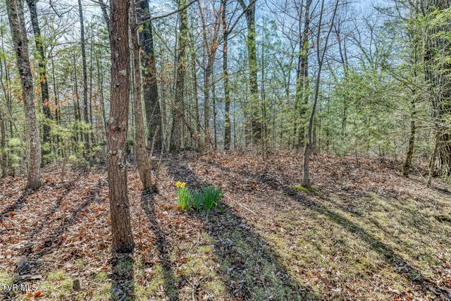 461 Little Switzerland Pvt Drive, Bristol, TN 37620