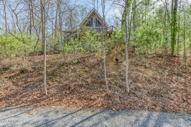 461 Little Switzerland Pvt Drive, Bristol, TN 37620