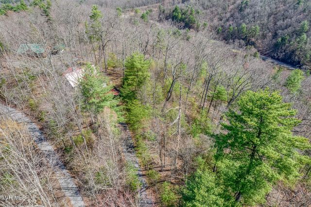 461 Little Switzerland Pvt Drive, Bristol, TN 37620