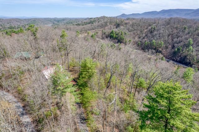 461 Little Switzerland Pvt Drive, Bristol, TN 37620