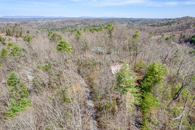 461 Little Switzerland Pvt Drive, Bristol, TN 37620