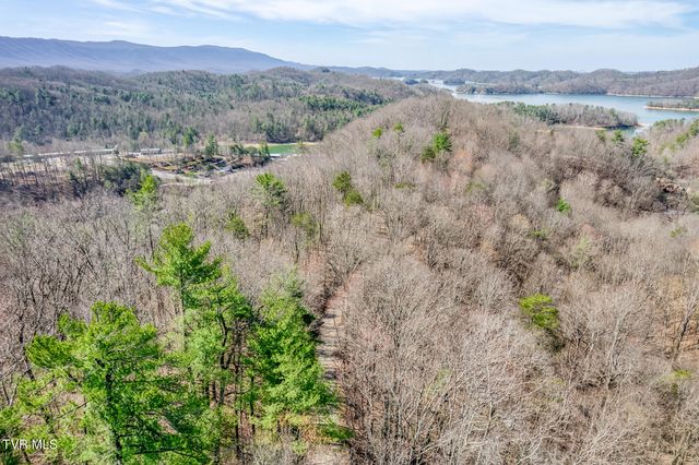 461 Little Switzerland Pvt Drive, Bristol, TN 37620