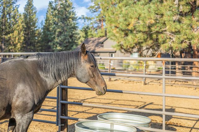 15624 National Forest Lane, Sisters, OR 97759