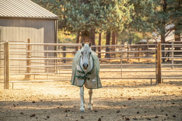 15624 National Forest Lane, Sisters, OR 97759
