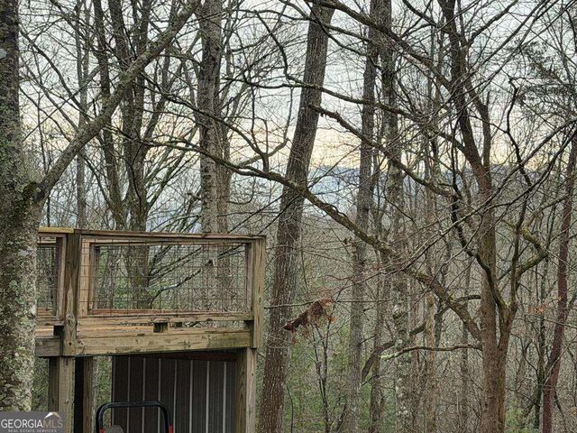 636 Bear Paw Trail, Blue Ridge, GA 30513