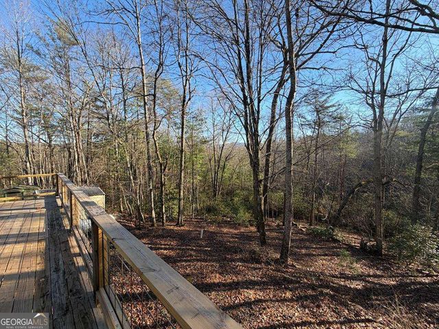 636 Bear Paw Trail, Blue Ridge, GA 30513