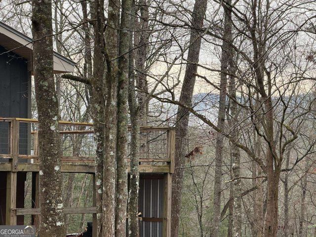 636 Bear Paw Trail, Blue Ridge, GA 30513
