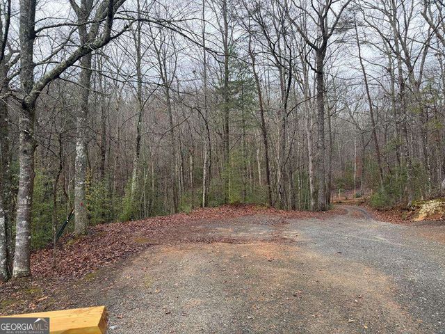 636 Bear Paw Trail, Blue Ridge, GA 30513