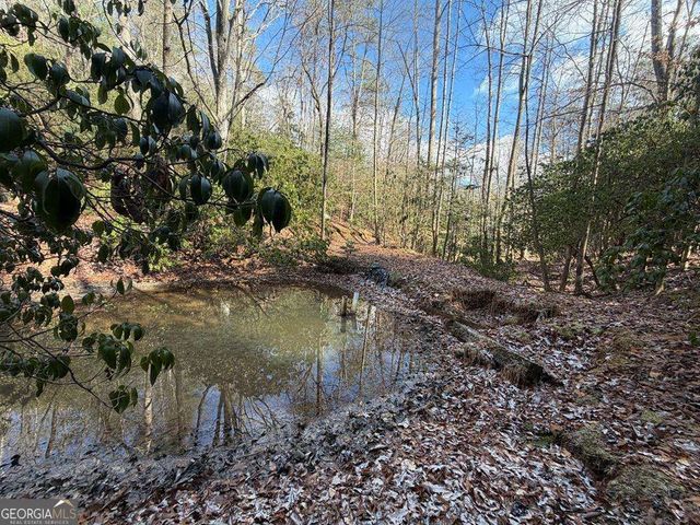 636 Bear Paw Trail, Blue Ridge, GA 30513