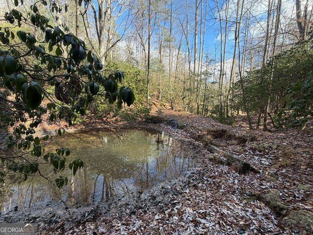 636 Bear Paw Trail, Blue Ridge, GA 30513