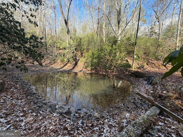 636 Bear Paw Trail, Blue Ridge, GA 30513