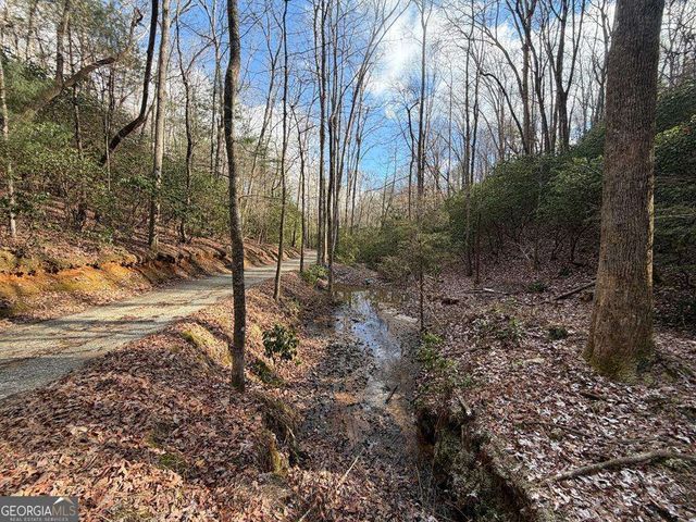 636 Bear Paw Trail, Blue Ridge, GA 30513