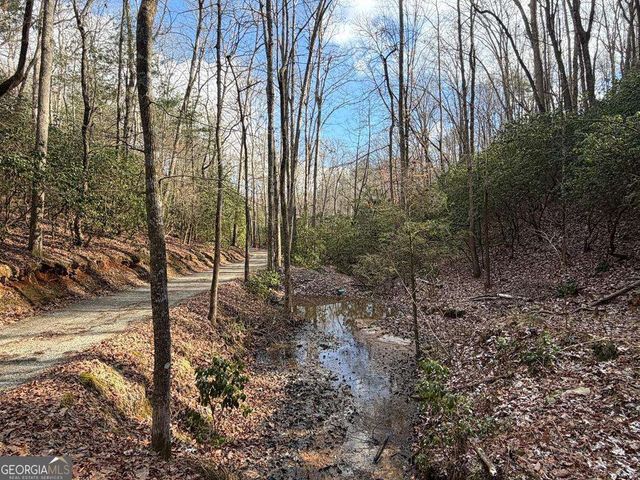 636 Bear Paw Trail, Blue Ridge, GA 30513