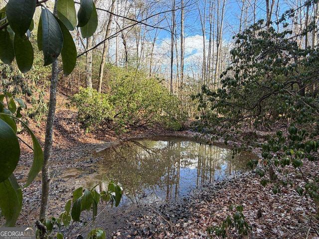 636 Bear Paw Trail, Blue Ridge, GA 30513