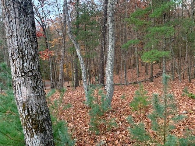 Lot 4 Courtney Lane, Blairsville, GA 30512
