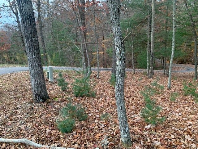 Lot 4 Courtney Lane, Blairsville, GA 30512