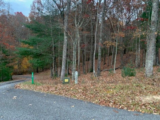 Lot 4 Courtney Lane, Blairsville, GA 30512