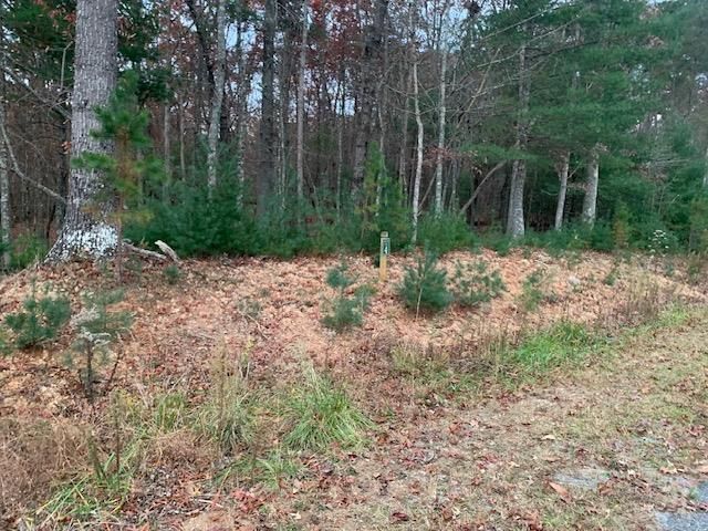 Lot 4 Courtney Lane, Blairsville, GA 30512