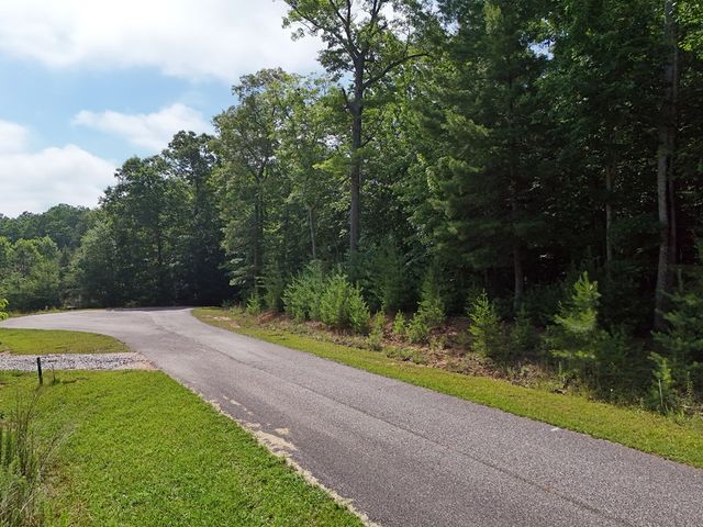 Lot 4 Courtney Lane, Blairsville, GA 30512