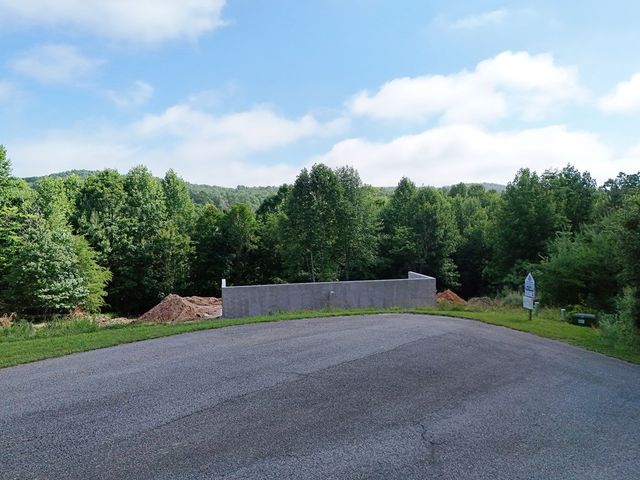 Lot 4 Courtney Lane, Blairsville, GA 30512