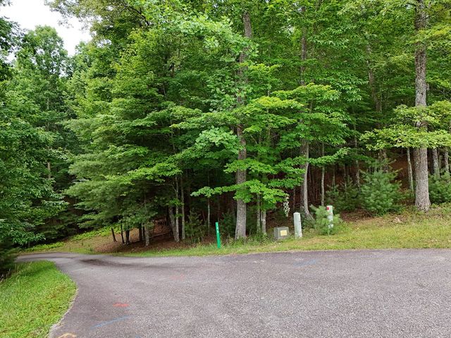 Lot 4 Courtney Lane, Blairsville, GA 30512