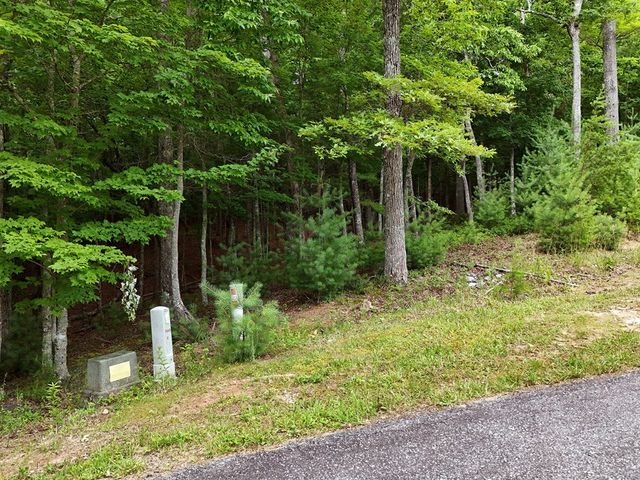 Lot 4 Courtney Lane, Blairsville, GA 30512