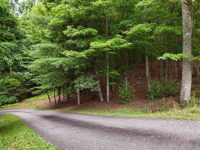 Lot 4 Courtney Lane, Blairsville, GA 30512