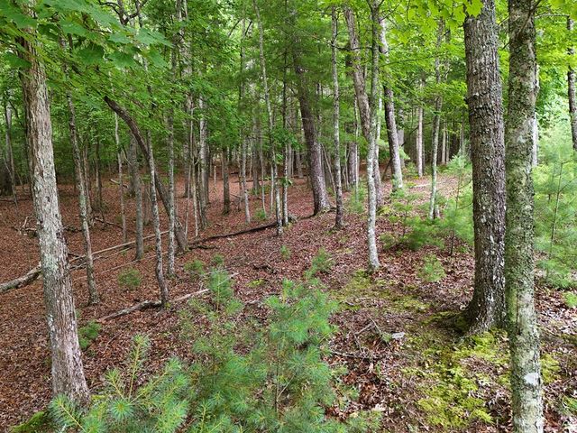 Lot 4 Courtney Lane, Blairsville, GA 30512