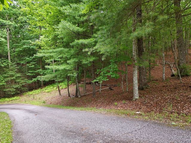 Lot 4 Courtney Lane, Blairsville, GA 30512