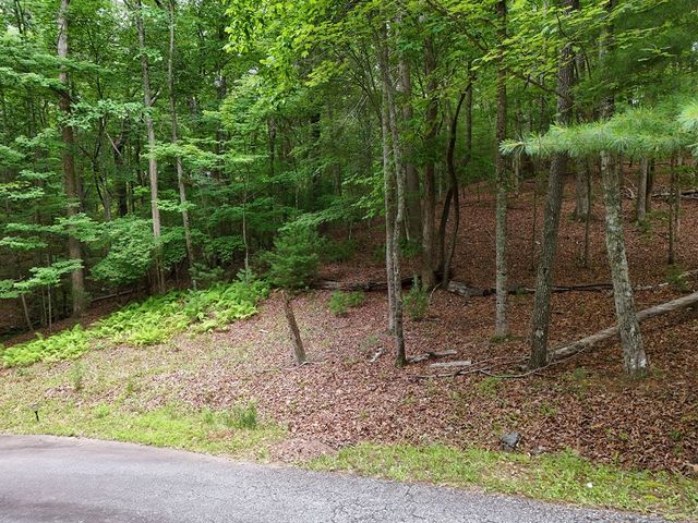 Lot 4 Courtney Lane, Blairsville, GA 30512