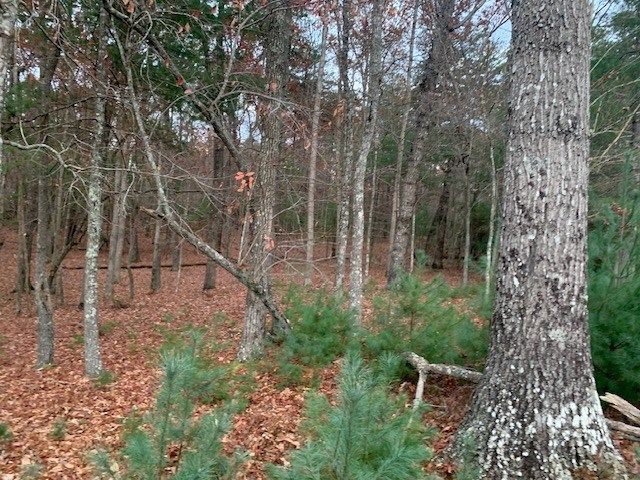 Lot 4 Courtney Lane, Blairsville, GA 30512