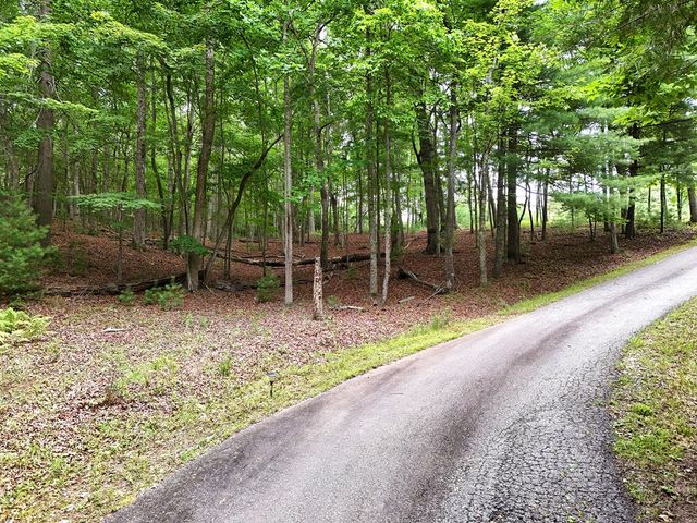 Lot 4 Courtney Lane, Blairsville, GA 30512