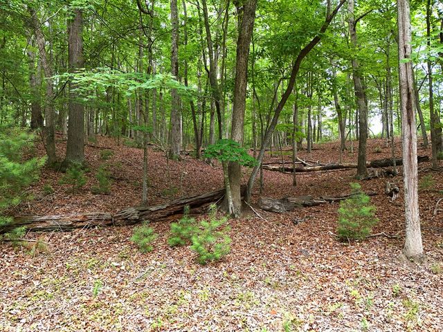 Lot 4 Courtney Lane, Blairsville, GA 30512