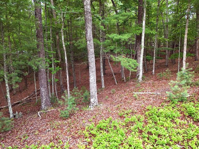 Lot 4 Courtney Lane, Blairsville, GA 30512