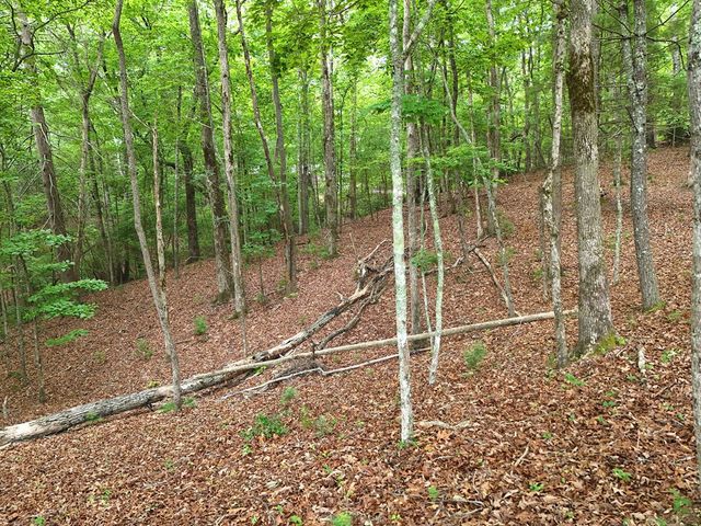 Lot 4 Courtney Lane, Blairsville, GA 30512