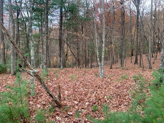 Lot 4 Courtney Lane, Blairsville, GA 30512