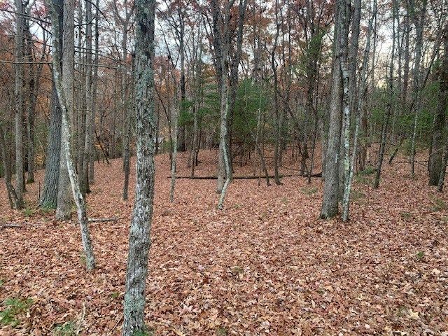 Lot 4 Courtney Lane, Blairsville, GA 30512