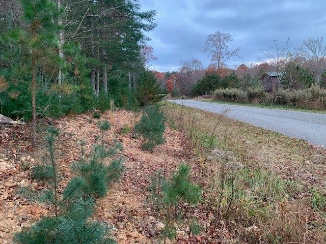 Lot 4 Courtney Lane, Blairsville, GA 30512